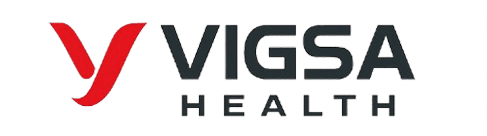 Dashboard da Vigsa